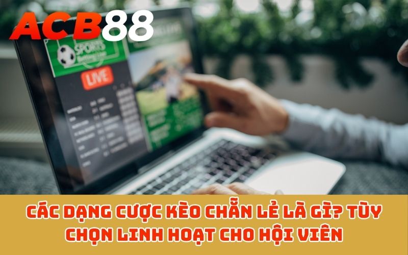 Các dạng cược kèo chẵn lẻ là gì? Tùy chọn linh hoạt cho hội viên