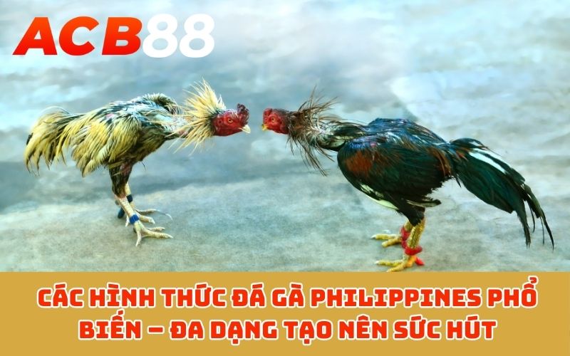 Các hình thức đá gà Philippines phổ biến – Đa dạng tạo nên sức hút