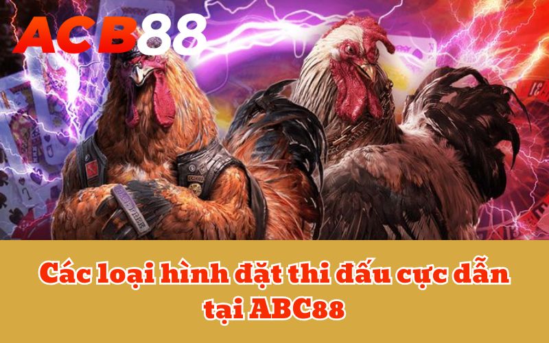 Các loại hình đặt thi đấu cực dẫn tại ABC88
