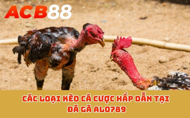 Các loại kèo cá cược hấp dẫn tại đá gà ALO789