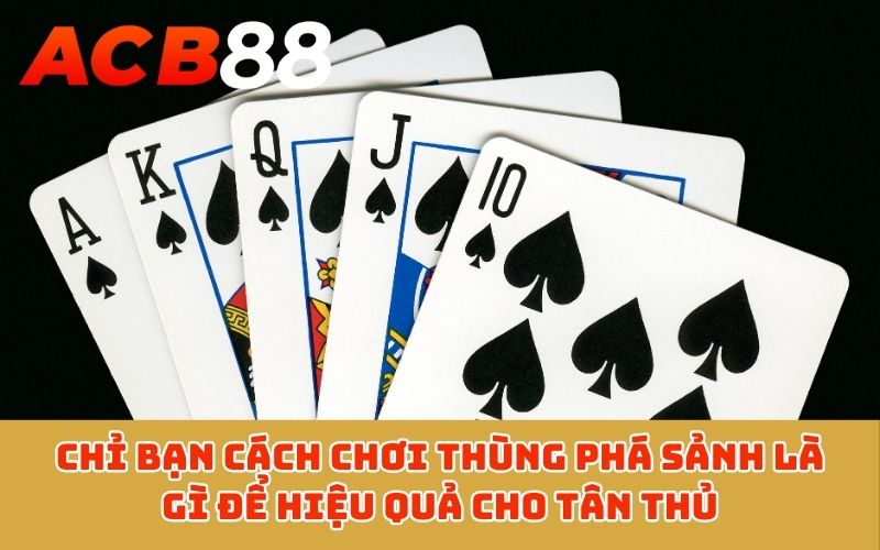 Chỉ bạn cách chơi Thùng Phá Sảnh là gì để hiệu quả cho tân thủ