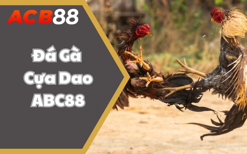 Đá Gà Cựa Dao ABC88 - Đặt Cược Thả Ga Cùng Linh Kê Bất Bại
