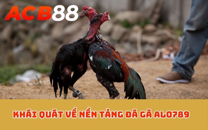 Khái quát về nền tảng đá gà ALO789