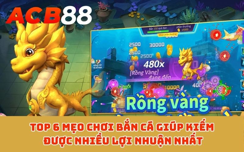 Top 6 mẹo chơi bắn cá giúp kiếm được nhiều lợi nhuận nhất